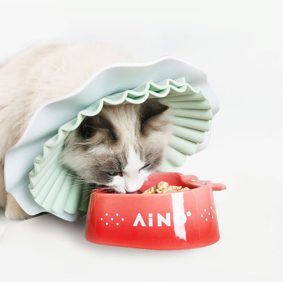 30c51afca9125e886565c1d68f255e5d