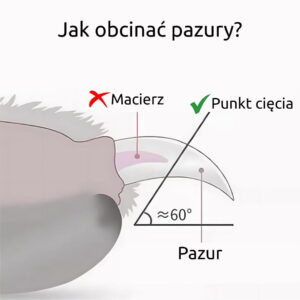 6e4224025297e0c064f61c570c0e899a