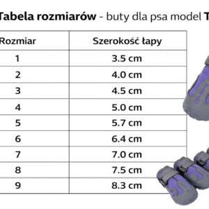 c5ea5cfc6c439bb5441a1f06fa83a302