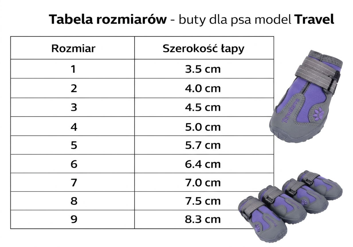 c5ea5cfc6c439bb5441a1f06fa83a302