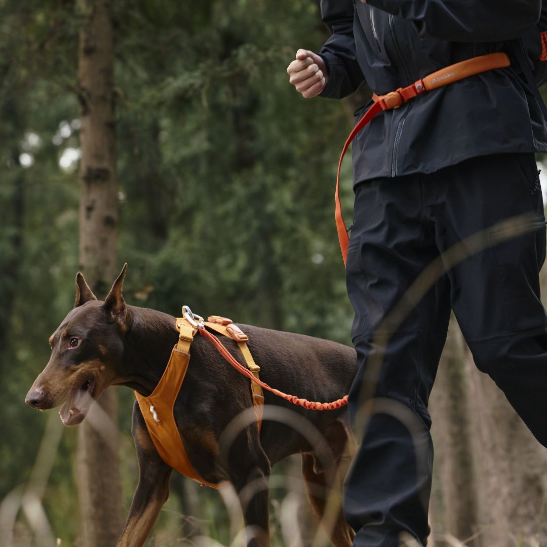 64de479dcc154c7a71567d1e87f9c259