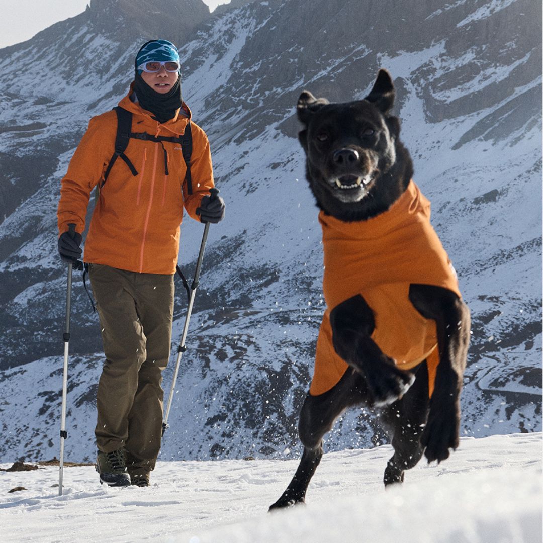 aedd4eddca6e8dd213a9da80c6776076