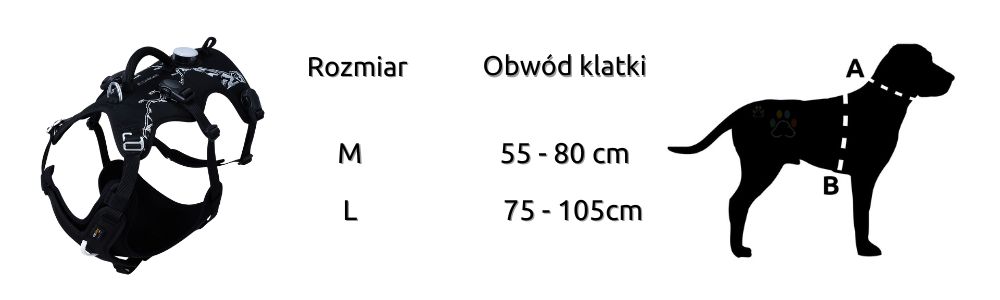 2087f975d08d94ea6d9a3372e9e080fc