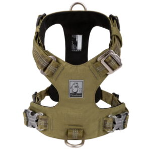 ed56ed2fbddad2e14e737651c1431bfb