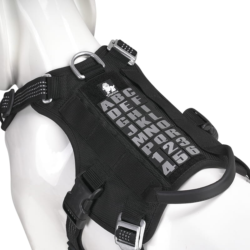 fcfe5b1109645bd6fea48bb1ddaf9ae5