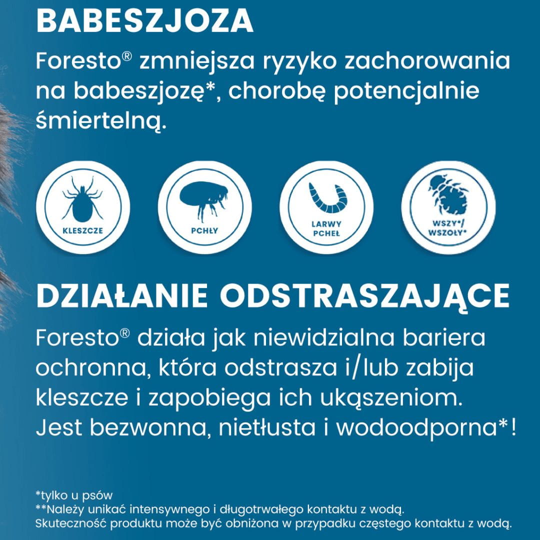 d6aad020c5d345b8267d31a930fbf979