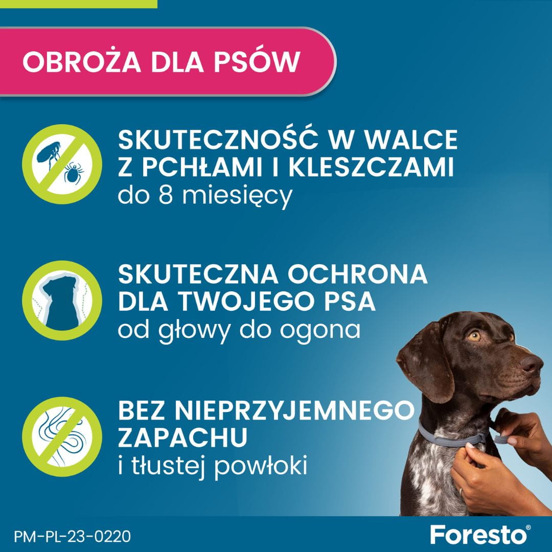 76c0d27c22876373b399ec4f6363541e