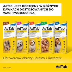 1e7096466b93d38bf5f27adbb9560a49