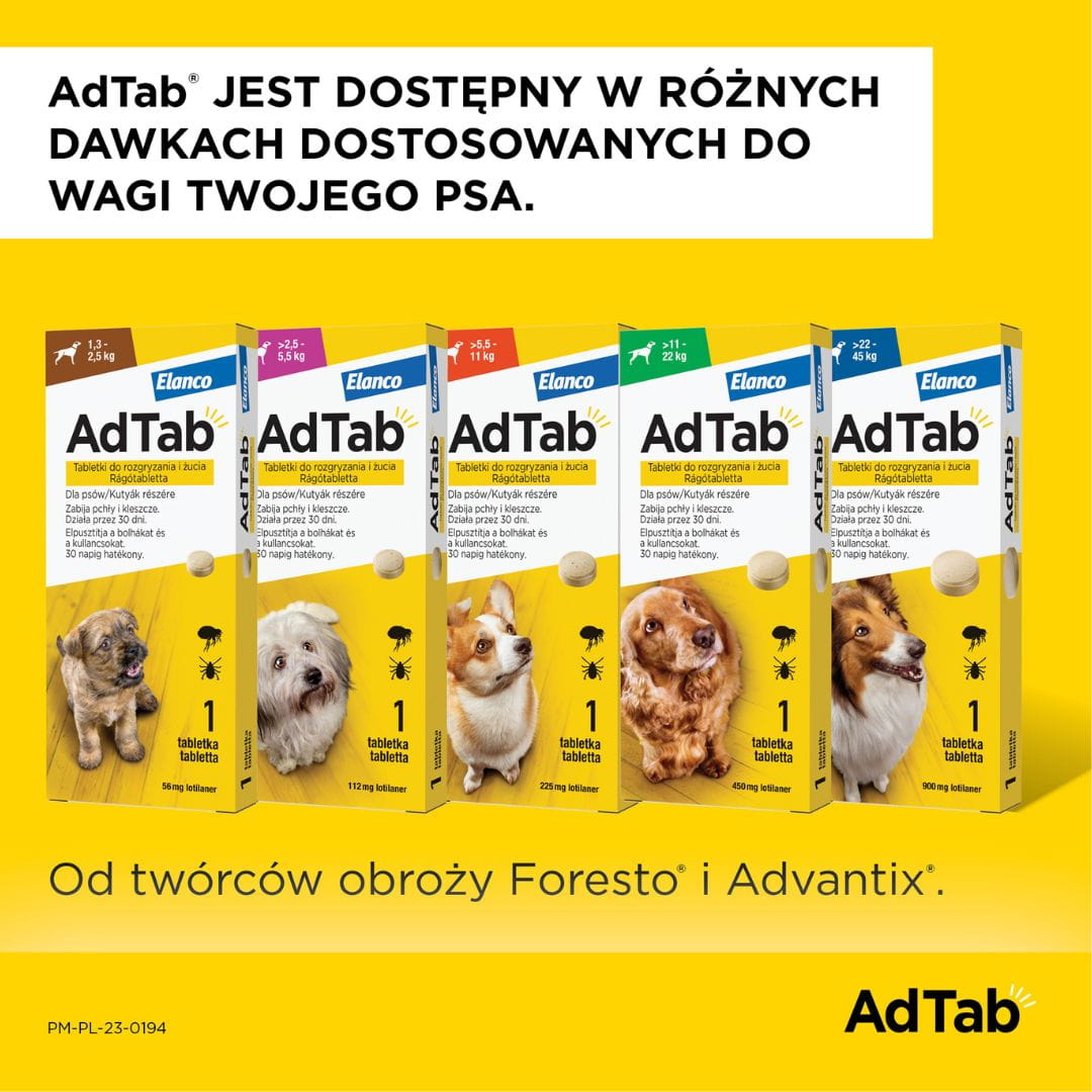 1e7096466b93d38bf5f27adbb9560a49